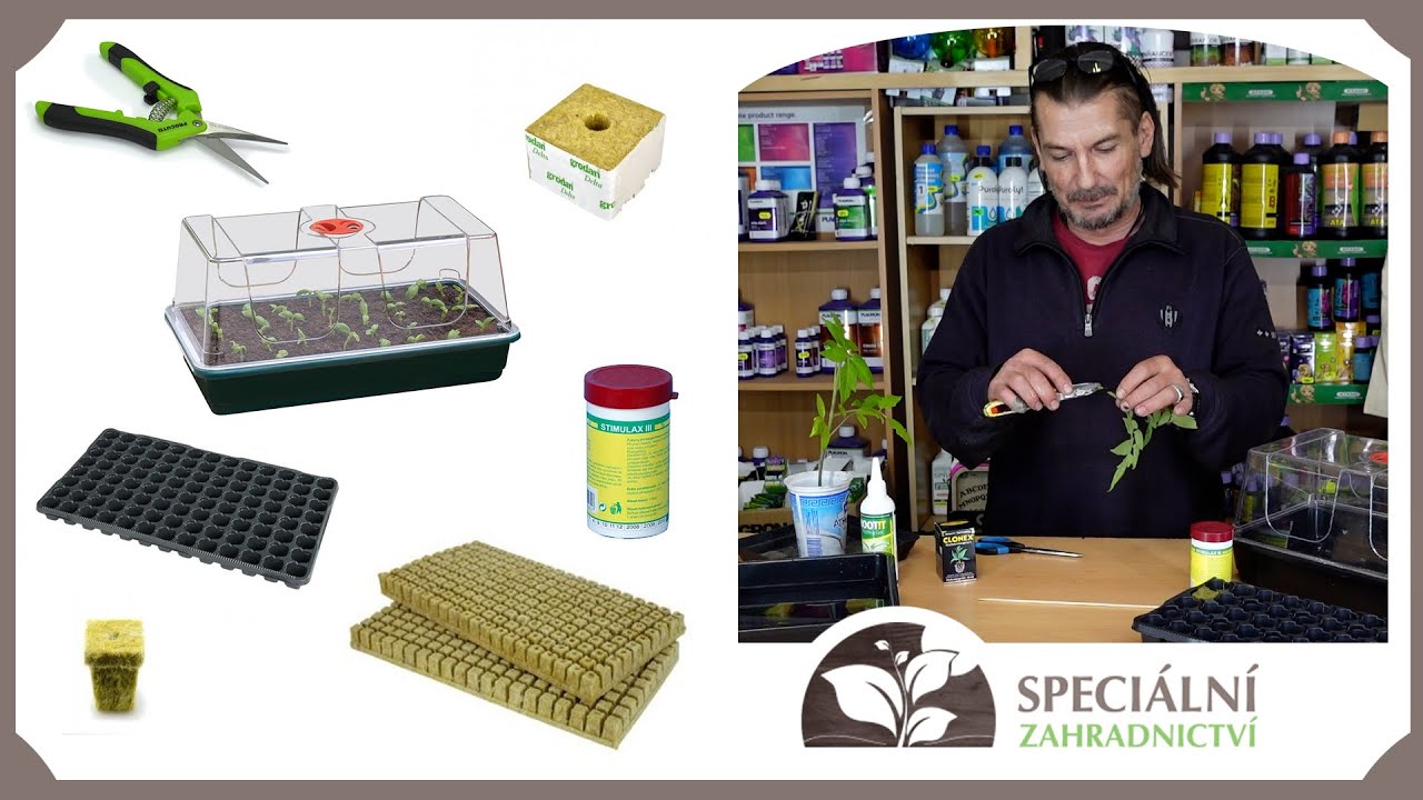 Klonování I Speciální Zahradnictví.cz