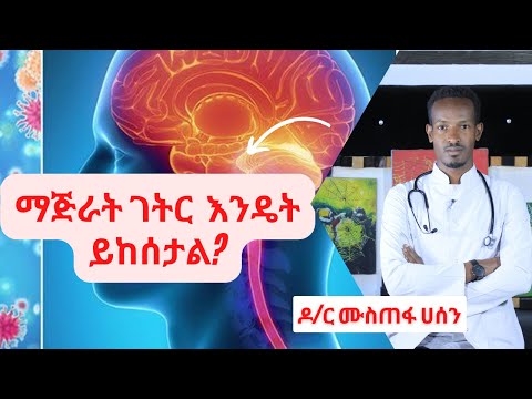 ቪዲዮ: የማጅራት ገትር ኢንፌክሽን ሴፕቲክ ድንጋጤን እንዴት ያመጣል?