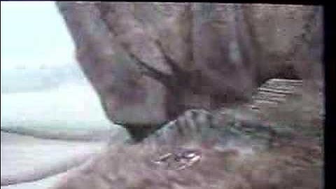 shadow of the colossus funny glitch