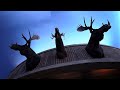 British Columbia Wildlife Displays | Chilliwack Custom Trophy Room | Wilderness by Klaus