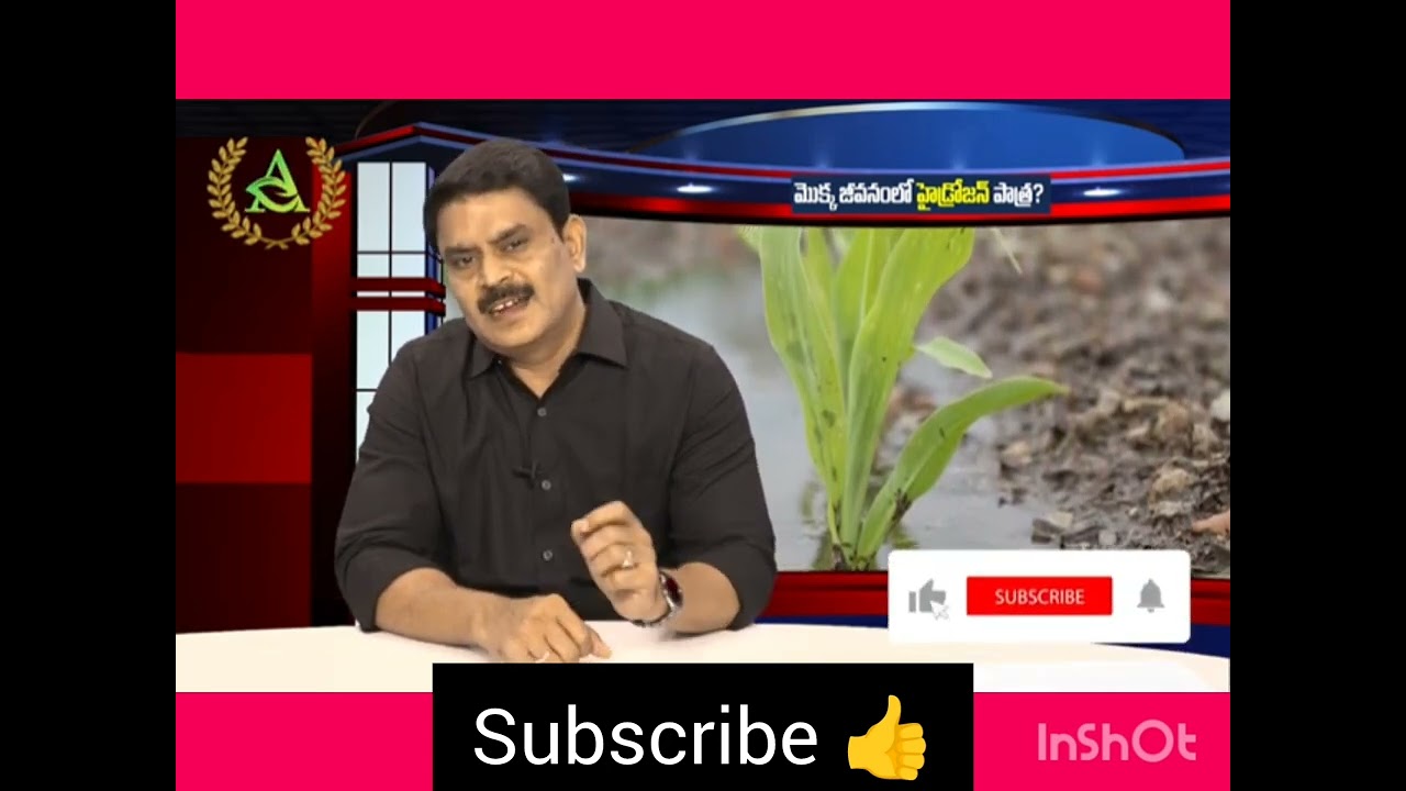 ఎపిసోడ్-04__మొక్క_జీవన_ప్రక్రియకు తప్పని_సరిగా_కావాల్సిన 16_మూలకాలు___siddu666 farming 7032485036