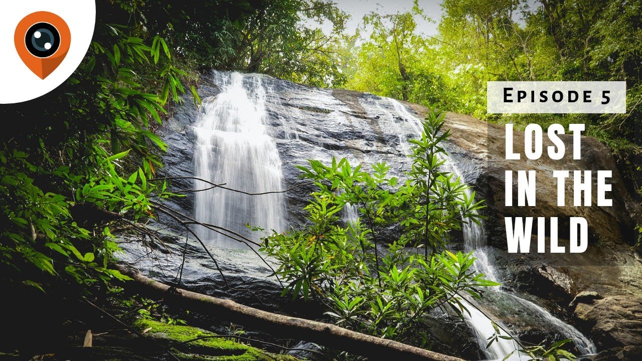 In Search of Waterfall | Lost in the Wild | Episode 5 - YouTube