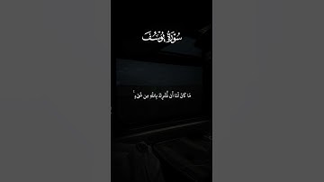 فاستجاب له ربه فصرف عنه كيدهن _كروما خلفية سوداء _ سورة يوسف _ قرآن شاشة سوداء #قرآن