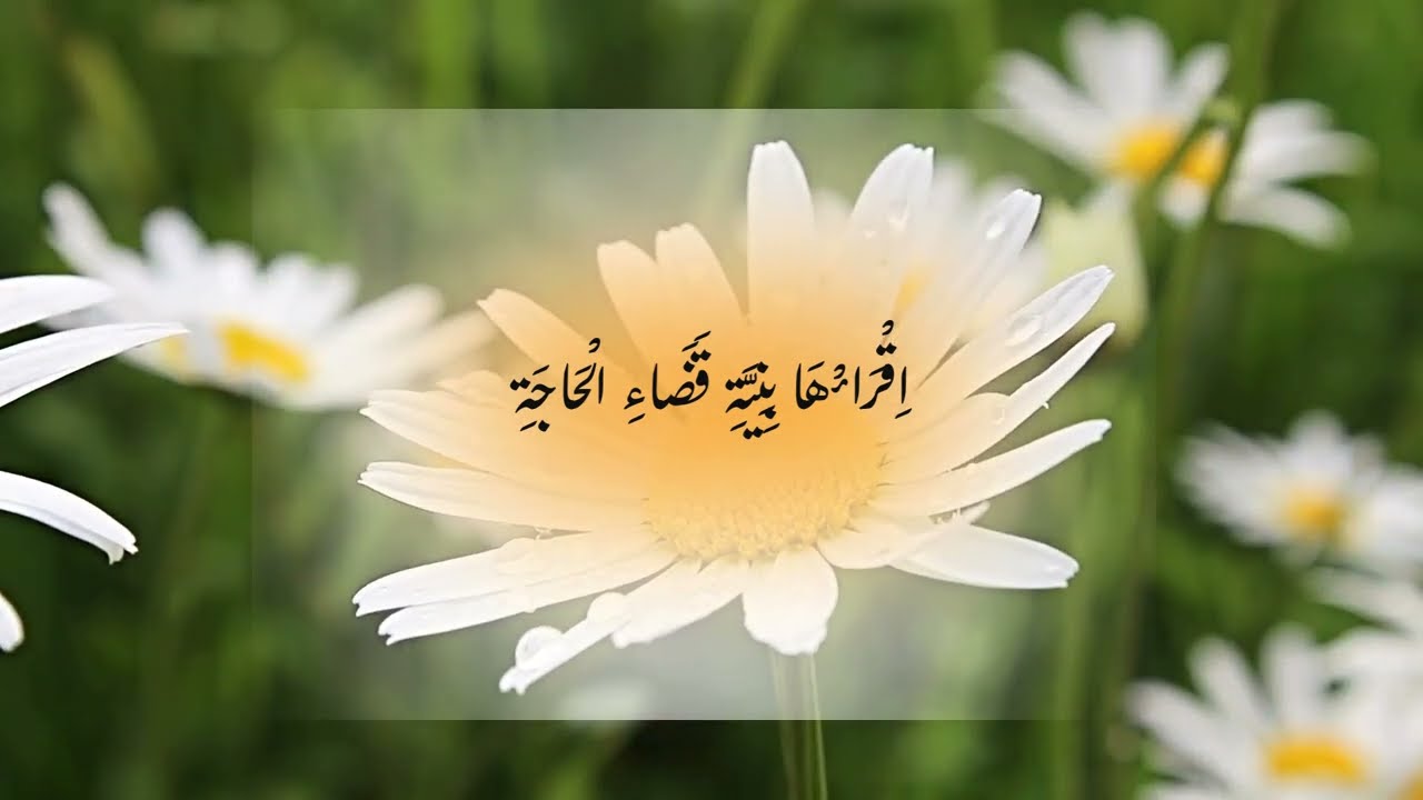 اِقْرَأْهَا بِنِيَّةِ قَضَاءِ الْحَاجَةِ