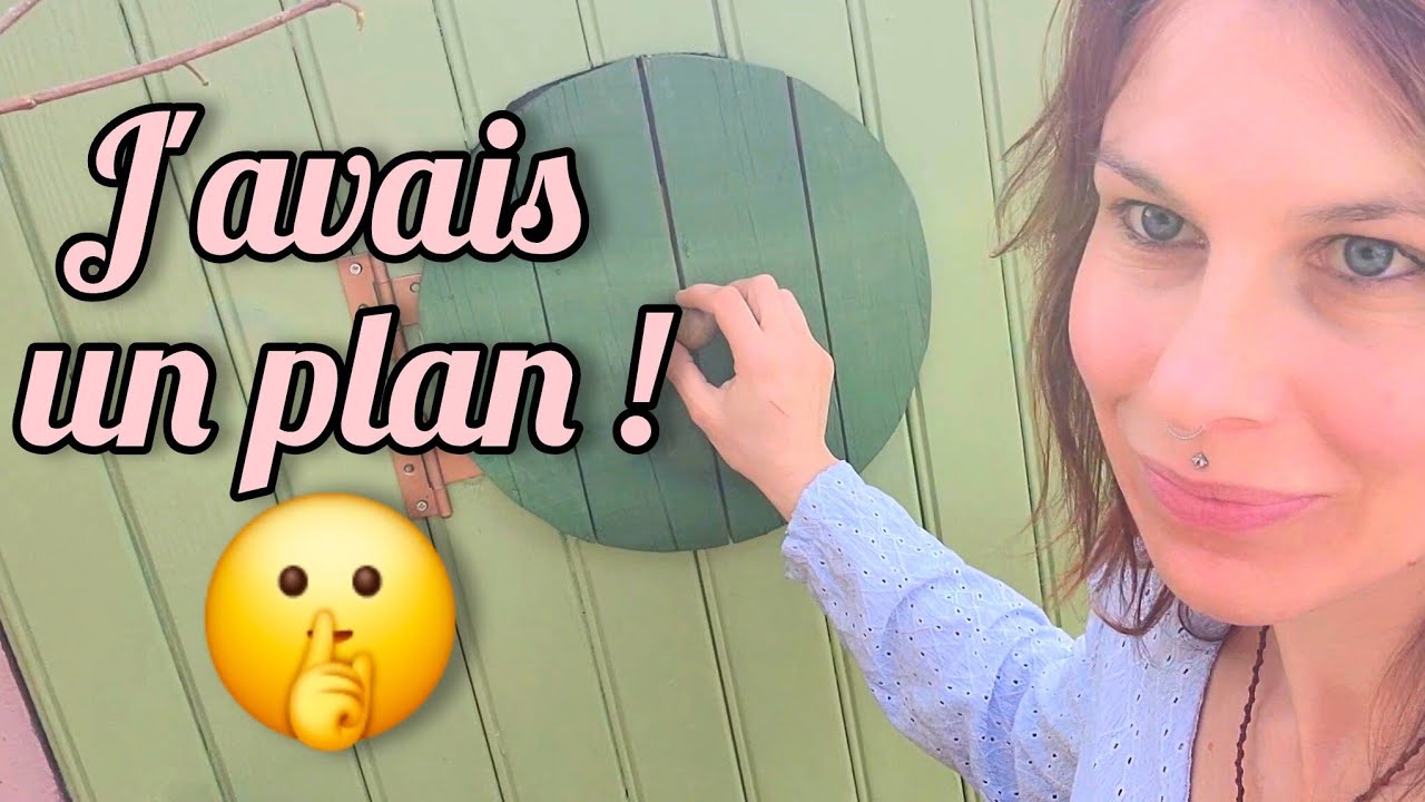 Je ne vous ai pas tout dit : j'avais un plan !