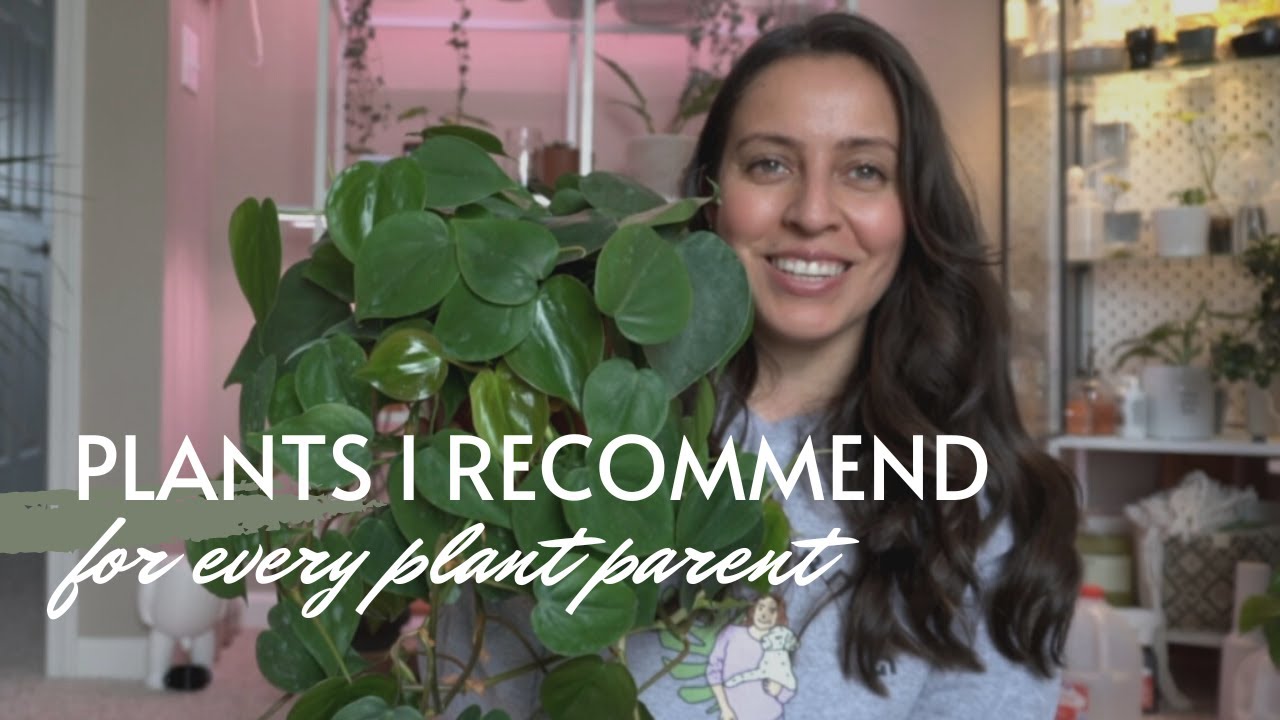 Plants I recommend that are harder plants to 