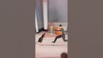 Cửa lưới chống chuột, chống trộm an toàn nên lắp cửa xếp lá nhôm [Cửa lưới New Day]|08 3398 3399