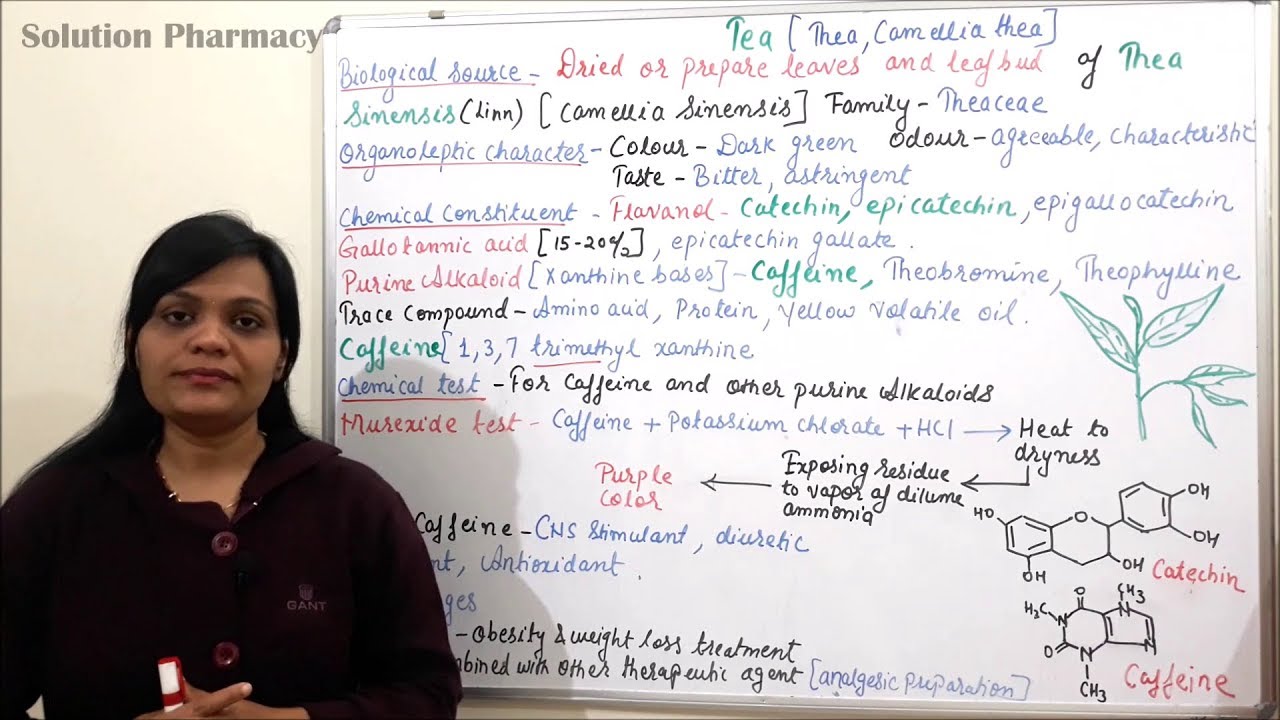 Flavonoid Containing Drug (Part 02) = Tea (Biological Source, Description, Chemical Const. & Uses)