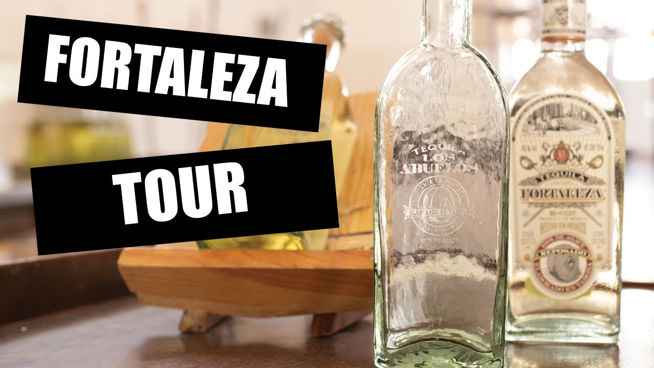 tequila fortaleza tours