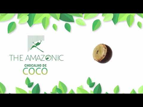 44   Chocalho de Coco
