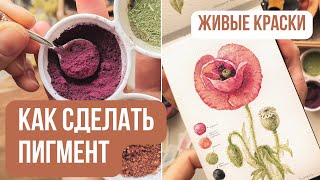 Как сделать ПИГМЕНТ из растений 🎨| Натуральные краски своими руками | Делаем акварельные краски