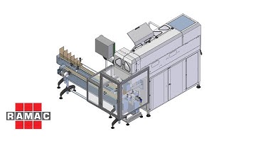 Automatic Weighing and Counting Line for Carton Box