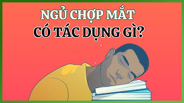 Ngủ chợp mắt có tác dụng gì lên cơ thể?