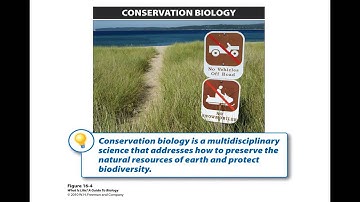 Chapter 16-Section 1