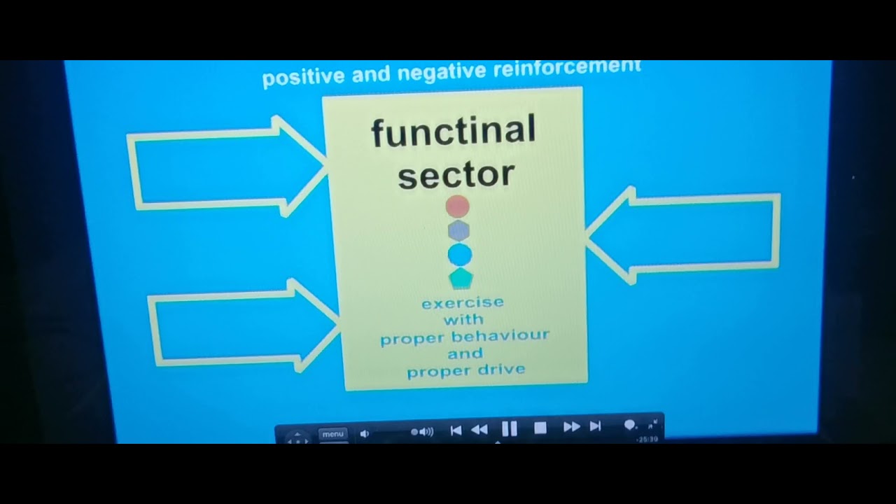 Helmut Raiser Aristo 2 2005
