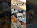 बकरी का पिला दिया 🤣