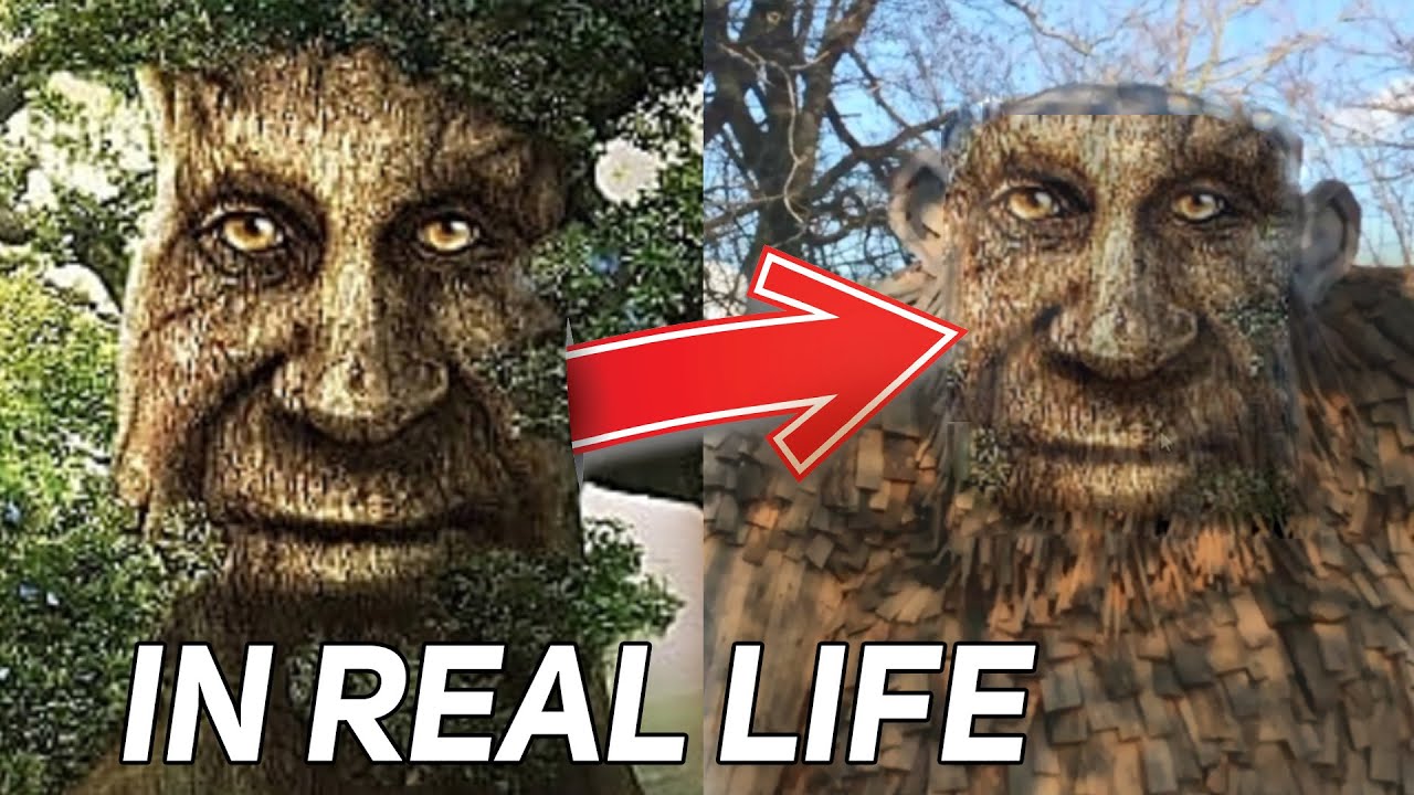 Wise Mystical Tree - IN REAL LIFE !!! 