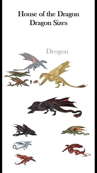 House of the Dragon | Dragon Sizes 🔥 #hotd  #dragon #vhagar #arrax #meleys #aemond #lucerys
