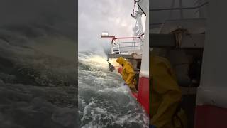 Famous very dengerous seen on the Sea ⛵😱😱😱 #sheep #dangerous #short#viralshorts #viral #sea #trend Wealth