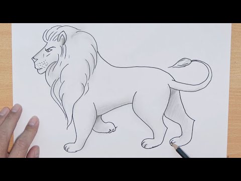 Как нарисовать льва. Легкий пошаговый рисунок льва.
