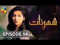 Shehr e Zaat Episode #14 HUM TV Drama
