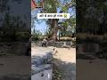 ये क्या हो गया 😭 | wait for end 😂 | #funny #memes #viral #shortfeed #powayanfilms