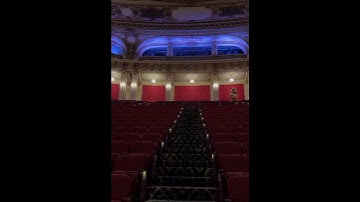 The Nutcracker | Bear Antics