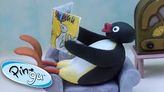 Crazy Day At Pingus House Pingu Official Cartoons For Kids