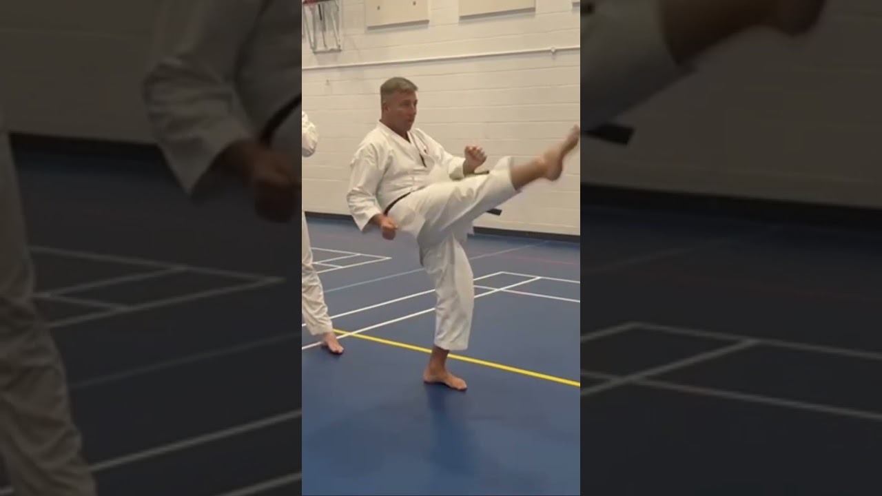 Karate Drill #karate #karatekid #shotokan #oss #osu #budo #mma #fight #training #karatedo #jka