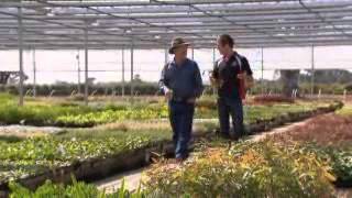 The Garden Gurus - Saving Water