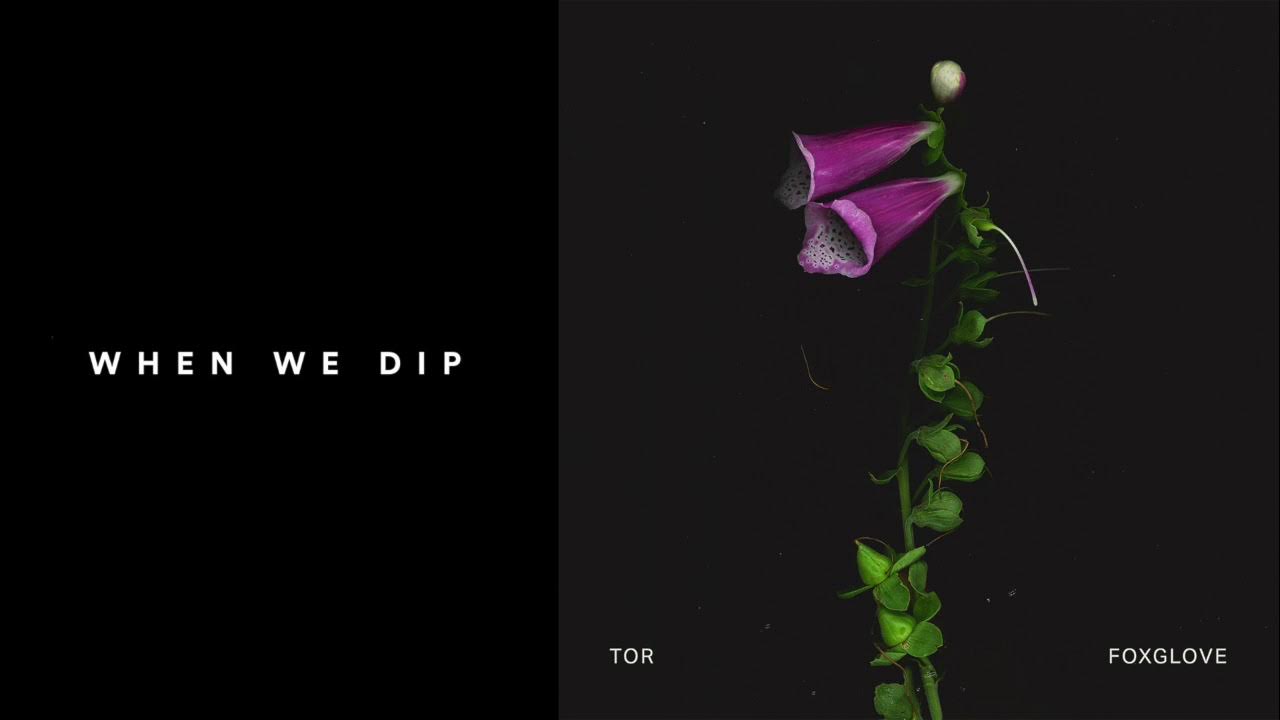 Premiere: TOR - Foxglove (Original Mix) Premiere: TOR - Foxglove (Original Mix)