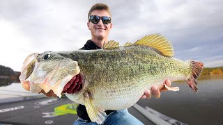 Once In A Lifetime Double Digit Bass - Scale Needed Lake Fishing