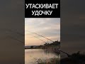 УТАСКИВАЕТ УДОЧКУ ПРИ ПОКЛЁВКАХ #shorts  #рыбалка #поклёвка #фидер