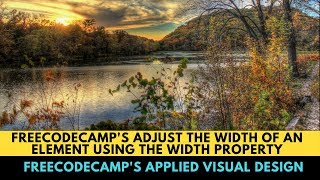 Career Overview freeCodeCamp's Adjust the Width of an Element Using the Width Property