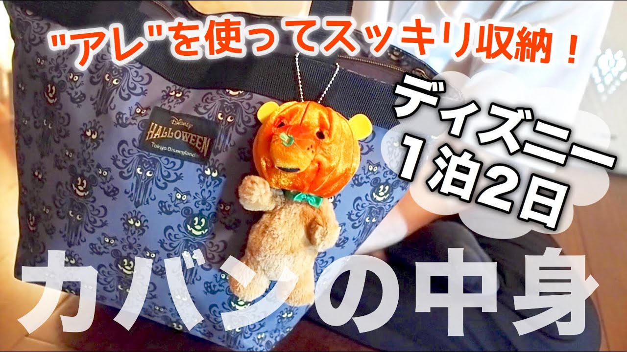 お泊りディズニーに持っていく荷物はこれだ What S In My Bag Youtube