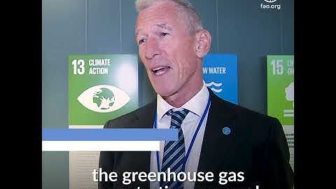 FAO @ #UNGA 2019: Alex Jones on Nature-based solutions