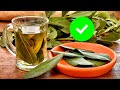 Qué le hace el LAUREL a tu cuerpo. ¿Cómo aprovechar TODOS los BENEFICIOS de la hoja de LAUREL?.