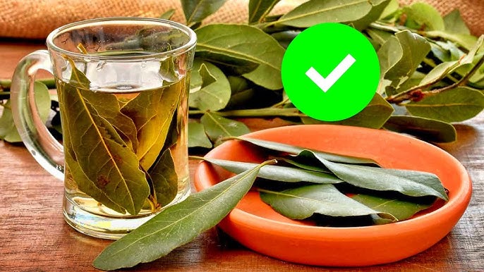 Paseo del Terere - Para hemorroides: Baños de asiento. Son la mejor  solución, tanto de agua fría como de plantas medicinales.🌾 Se prepara una  infusión de 50 gramos de Salvia,Hoja de guayaba,Capi