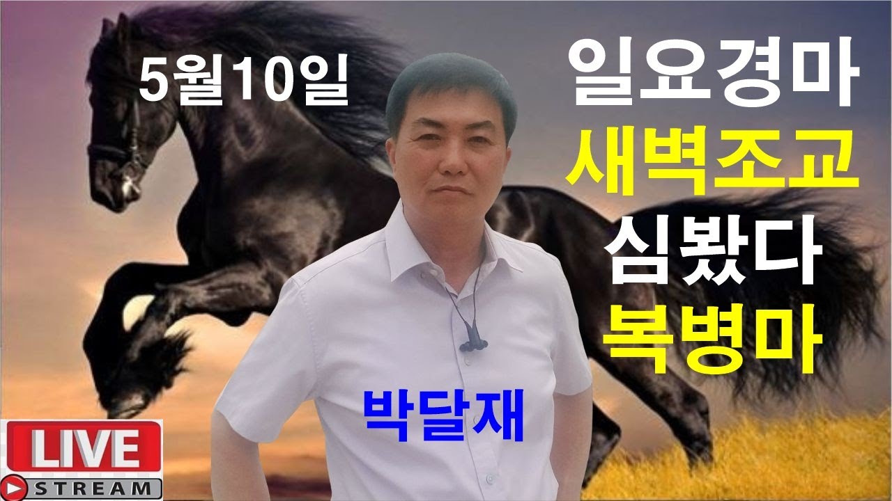 5월10일 일요경마  새벽조교 분석방송 경마예상 추천마번 복병마  라이브 방송 경마장 심마니 박달재 서울경마 부경경마 제주경마 경주분석 추천마번 예상방송 박달재