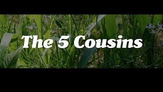 The Five Cousins A Permaculture Plant Guild By Matt Powers