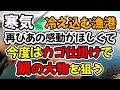 寒気で冷え込む漁港の湾内、再びあの感動を味わいたくて、今度はカゴ仕掛けで鯛の大物を狙う。仕掛け解説あり