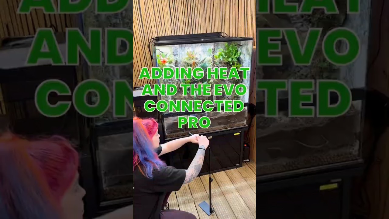 Adding heat and the EVO Connected Pro!