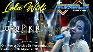 LALA WIDI - LORO PIKIR - OM POWER JP LIVE DS KARANGBONG GEDANGAN