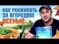 7 правил ухода за огородом осенью. Как готовиться к зиме?