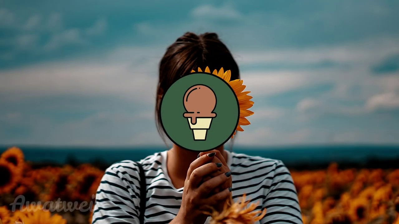 Sunflower - Soyb (AW)