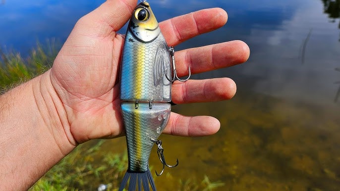 Is this the HOTTEST Technique in Fishing?!? Chop Glide: BAITSANITY