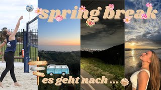 Spring Break am College als student athlete - Beachvolleyball, Freunde, Reisen, Selbstständigkeit