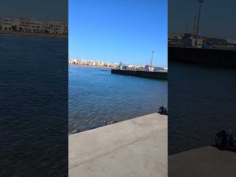 Quran Qurankareem Spirituality Uaequran 