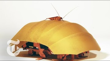 Robotic Cockroach | ScienceTake | The New York Times