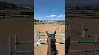 POV: you’re jumping Noodle around at Berg Events Horse Show🤪😂 #pov #horsegirl #fyp #colorado